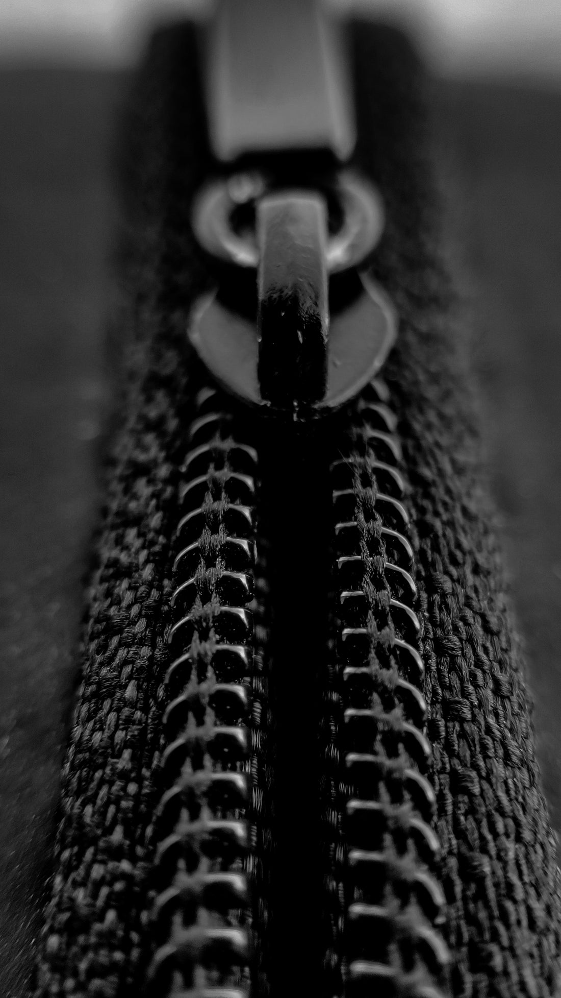 Zipper Types & Brands Explained: YKK vs Lampo vs Riri — Coil, Metal, Invisible & More